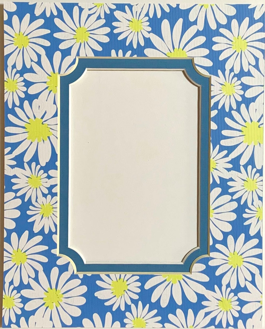 Daisies on Blue Double Layer Photo Mat